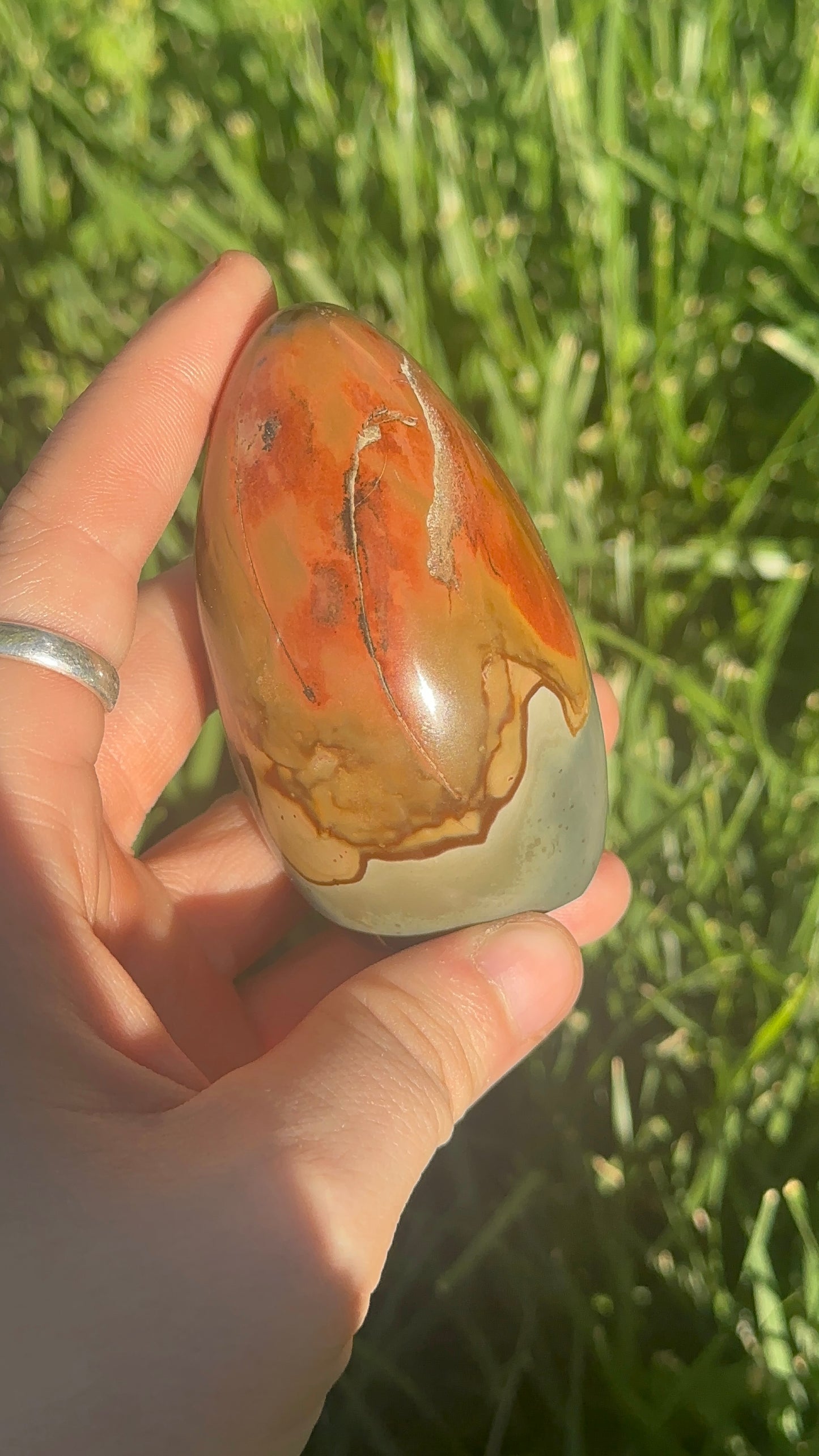Polychrome Jasper Freeform