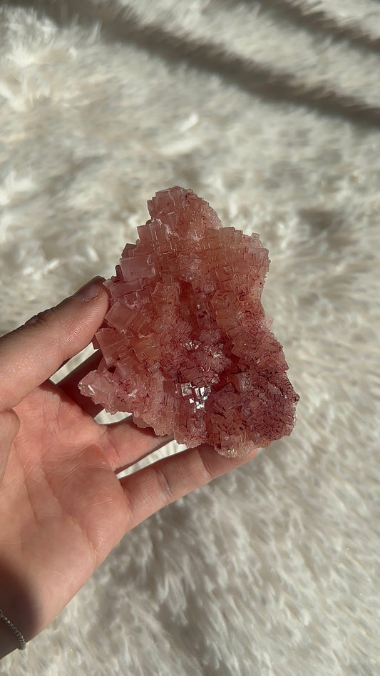 Pink Halite