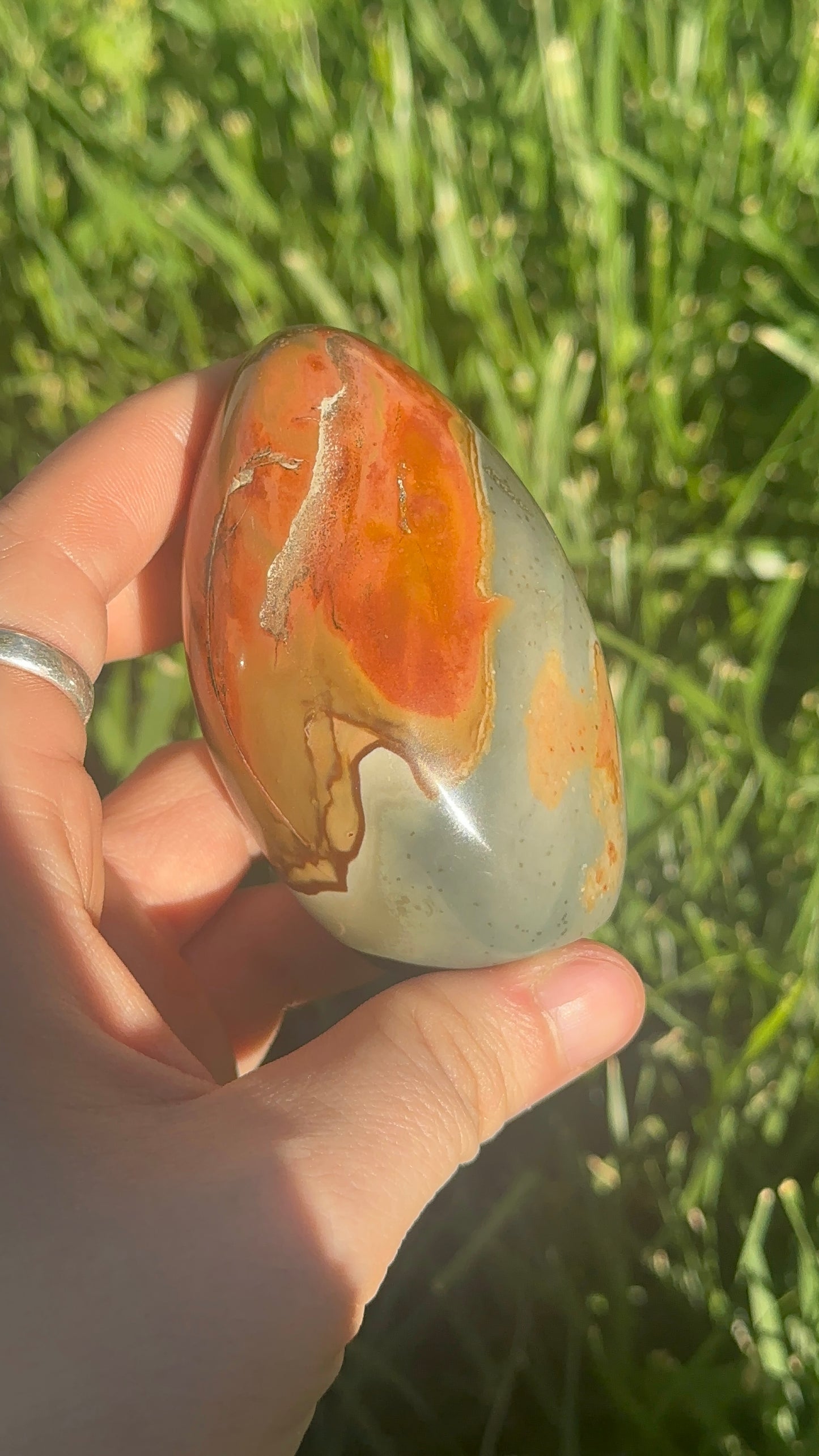 Polychrome Jasper Freeform