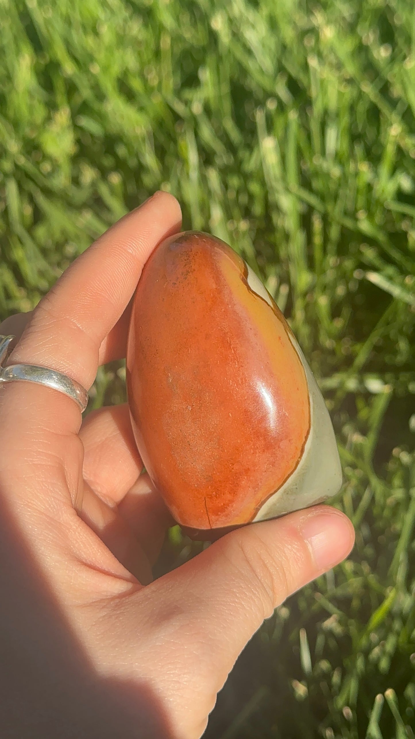 Polychrome Jasper Freeform