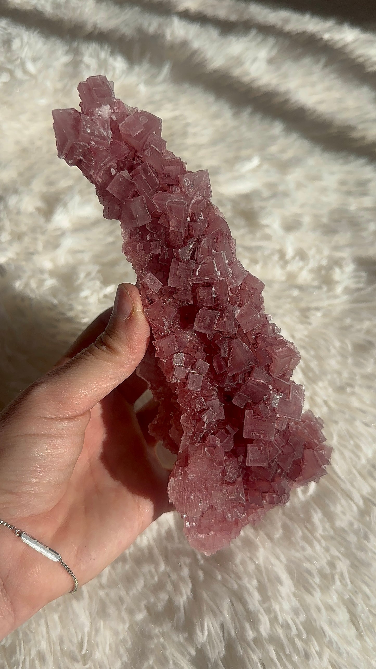 Pink Halite