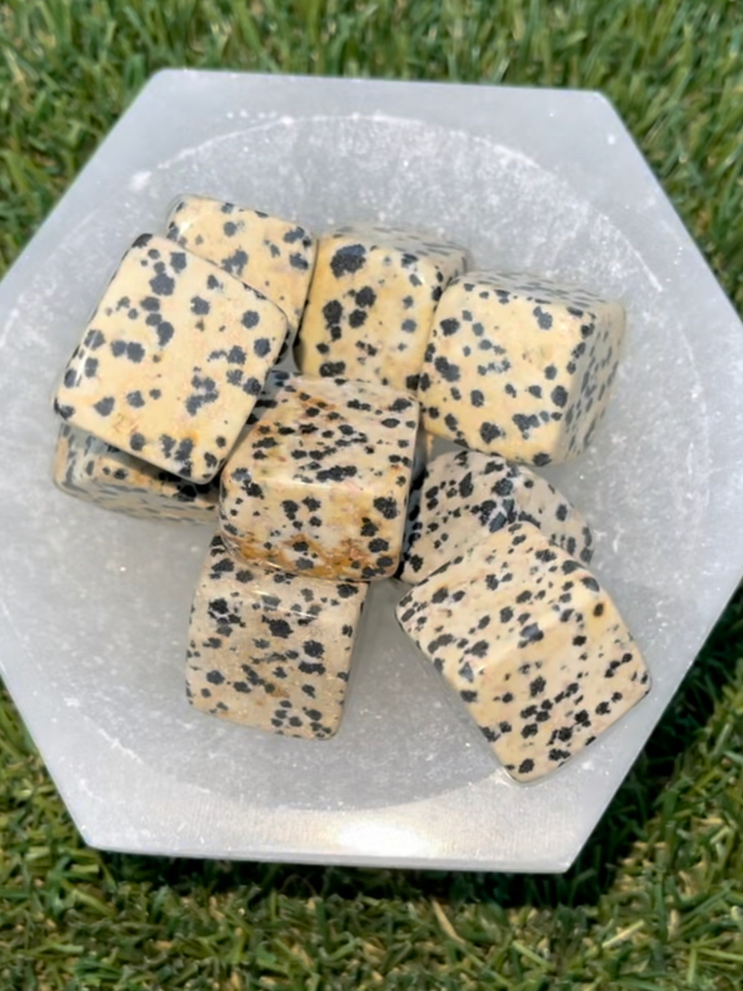 Dalmation Jasper Cubes