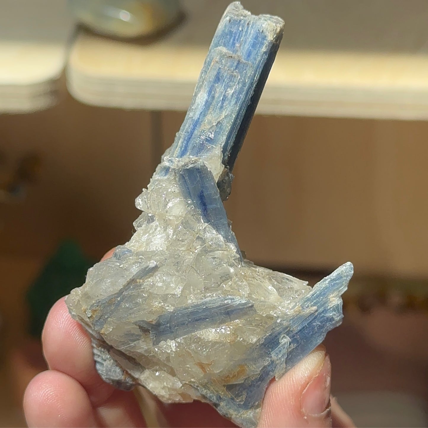 Blue Kyanite with Clear Quartz B.