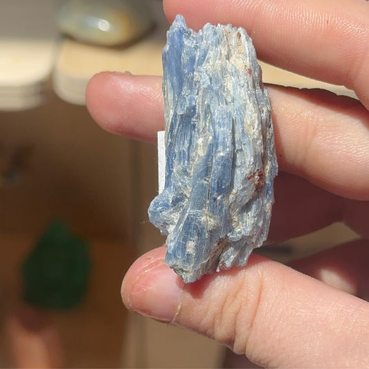 Blue Kyanite with Clear Quartz H.