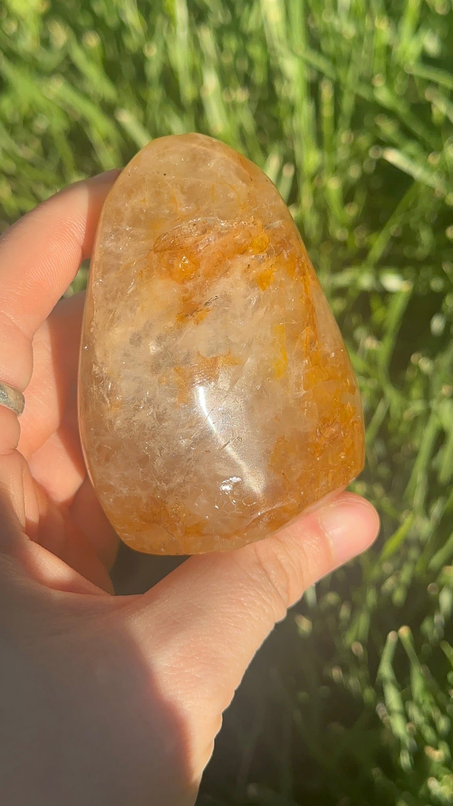 Golden Healer Freeform