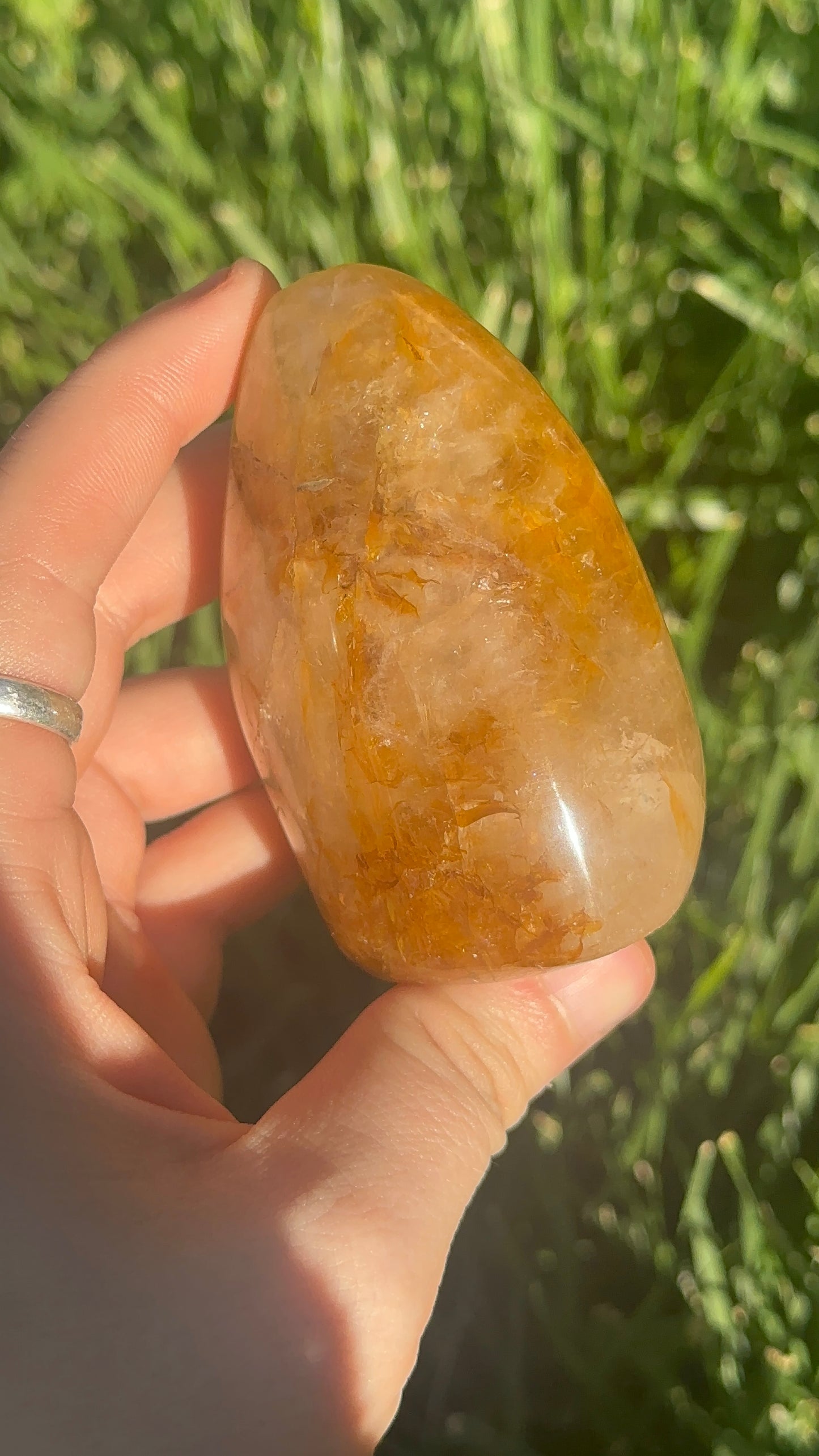 Golden Healer Freeform
