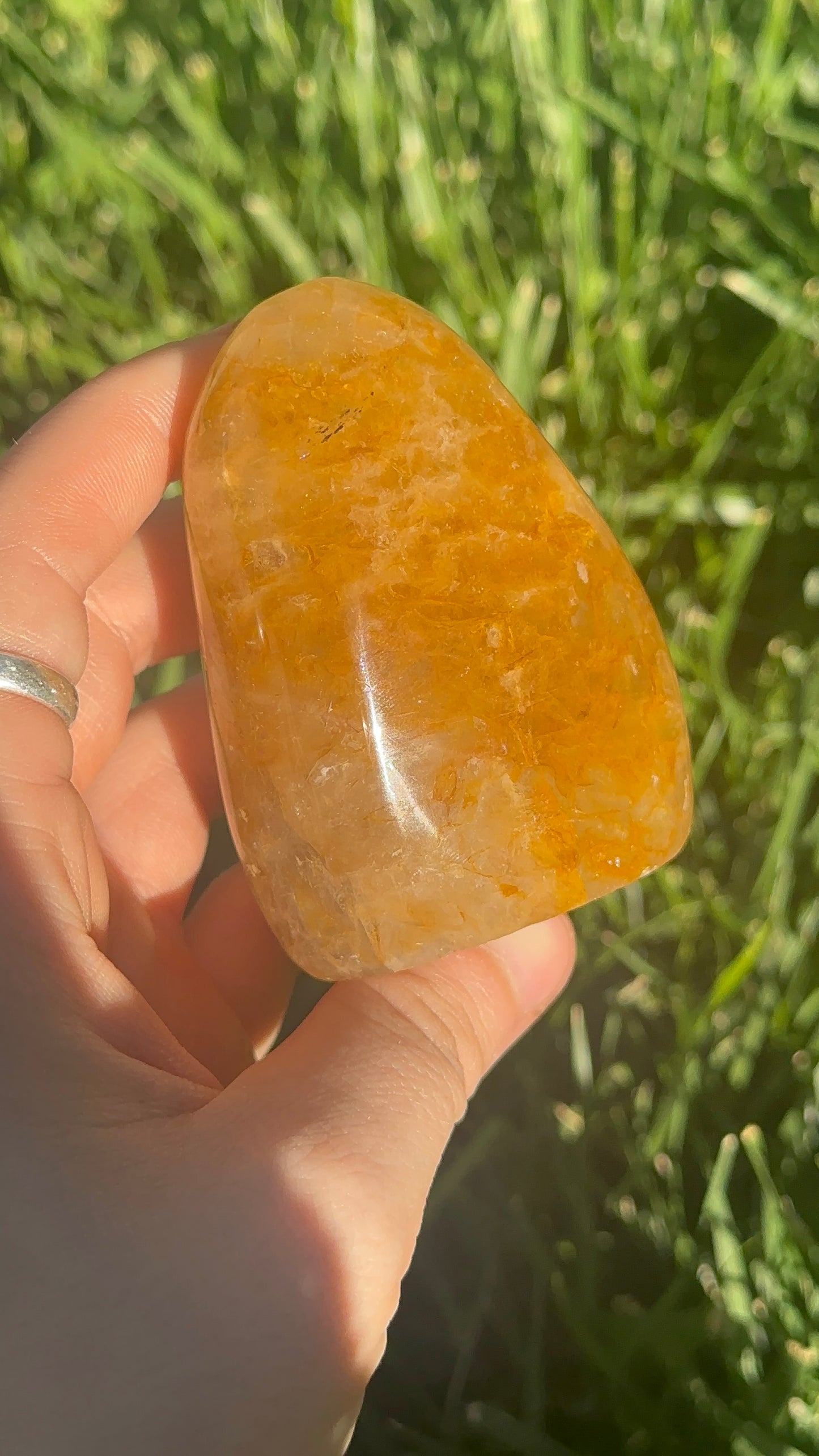 Golden Healer Freeform