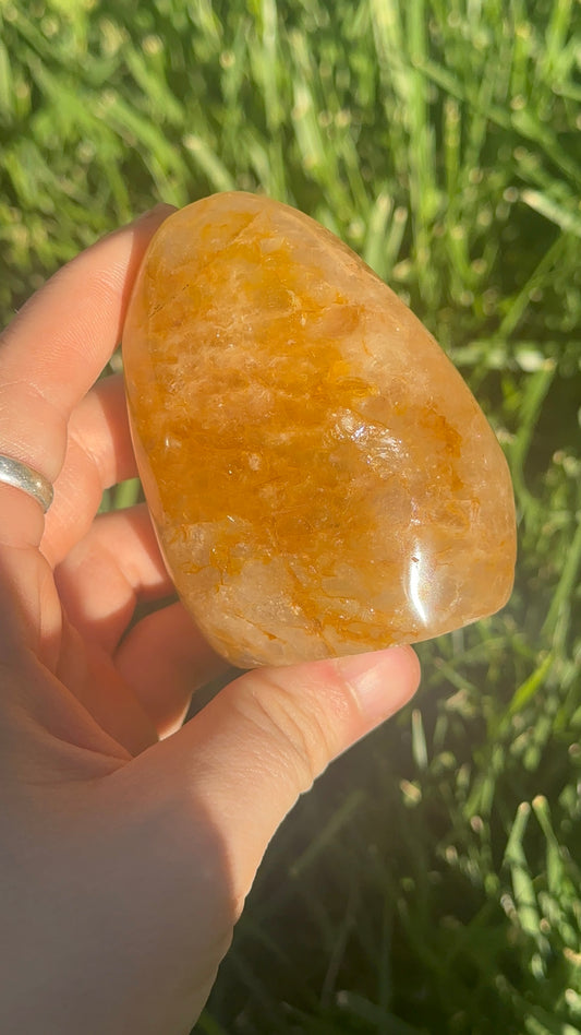 Golden Healer Freeform