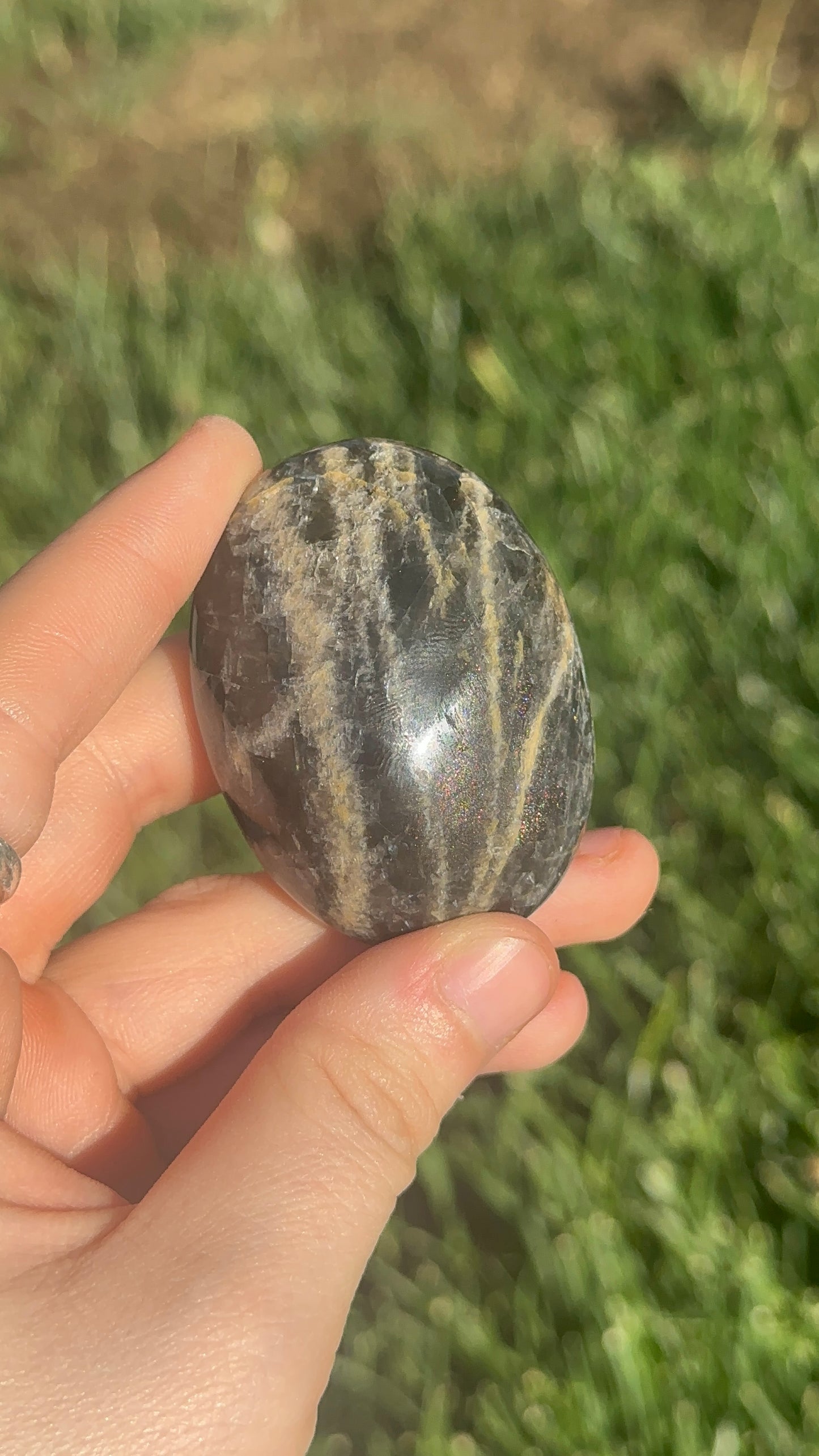 Black Moonstone Palmstones