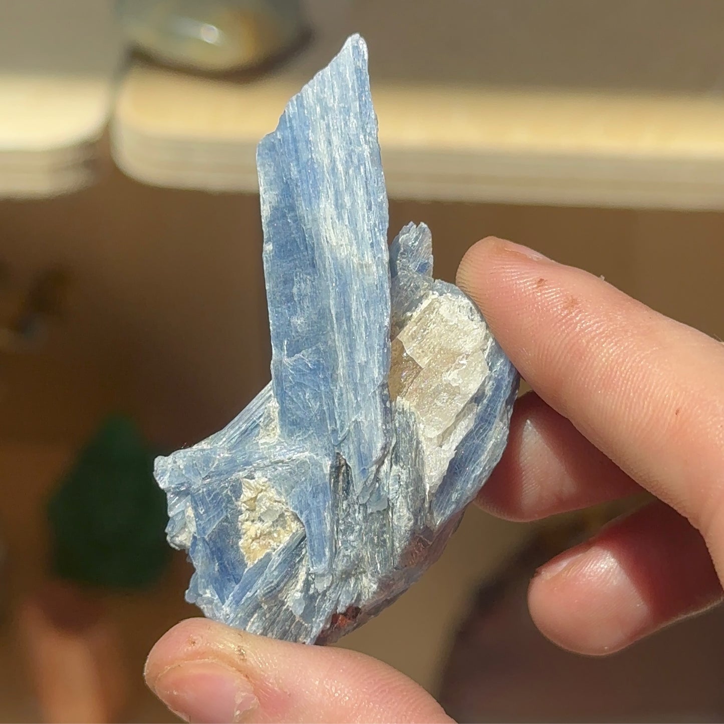 Blue Kyanite with Clear Quartz C.