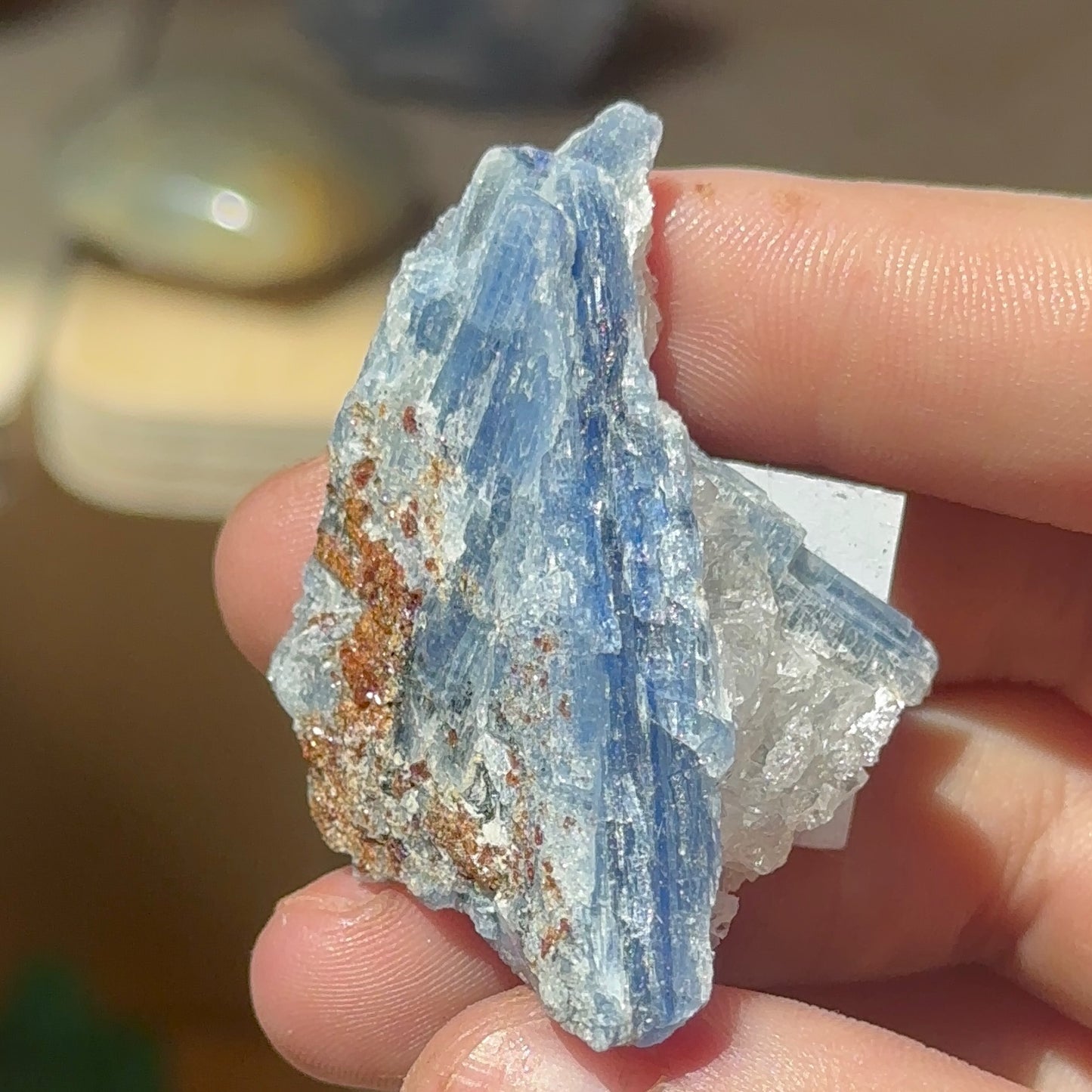 Blue Kyanite with Clear Quartz G.