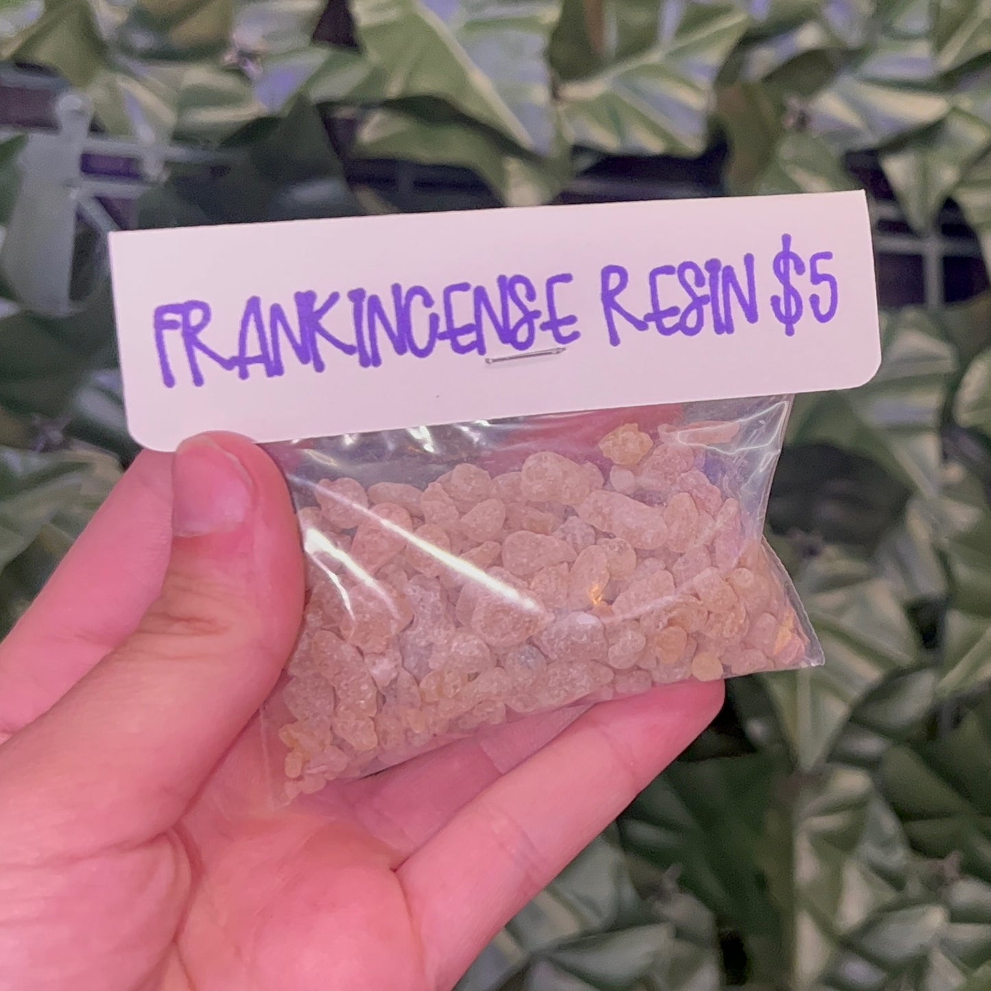 Frankincense Resin